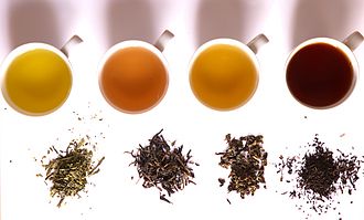 Tea of different levels of oxidation (L to R): green, yellow, oolong and black