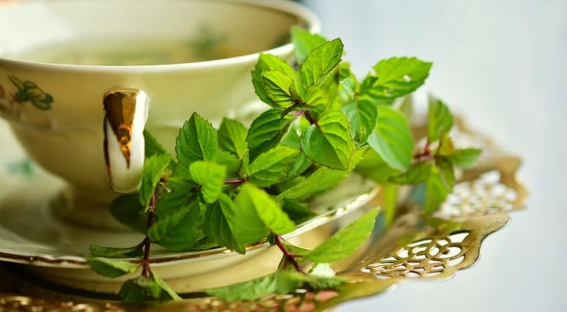 A cup with peppermint leaves