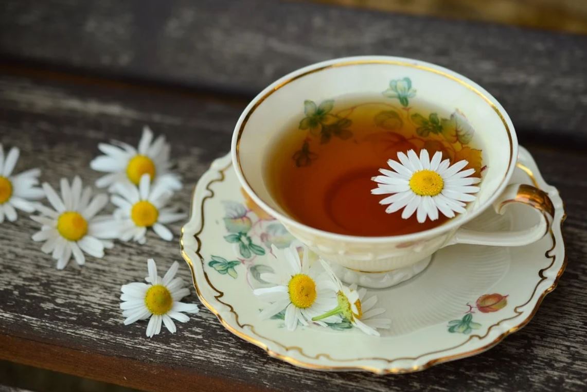 Image showing a cup of chamomile tea surrounded by chamomile flowers