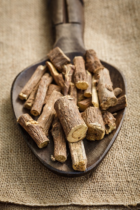 Image showing dried sticks of licorice roots