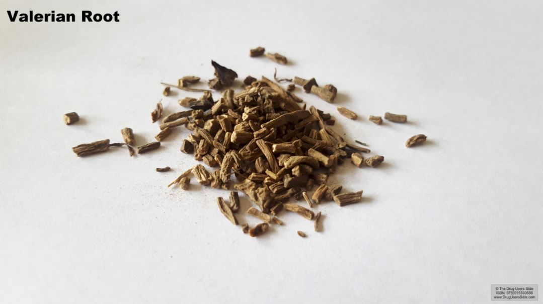 Image showing valerian root