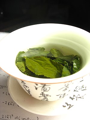 Green-tea-leaves-steeping-in-a-Taiwan